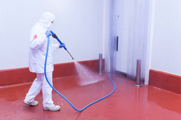 Best Dumpster Area Cleaning  in Georgetown, TX